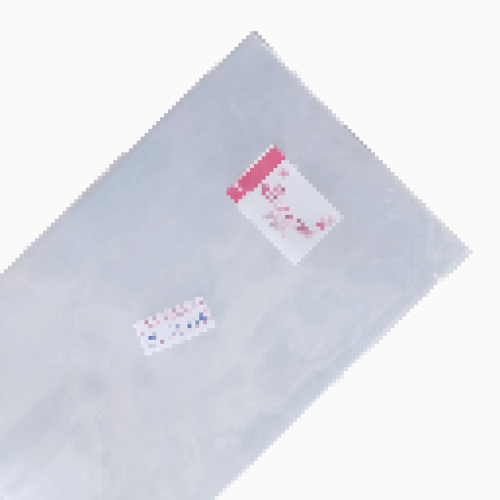 PP Mika Pak